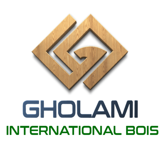 GHOLAMI CONCEPT