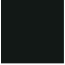 BLACK 0190
