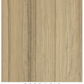 Coco Bolo 8995