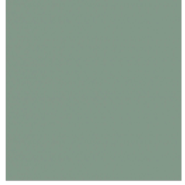 Soft Touch Mint
