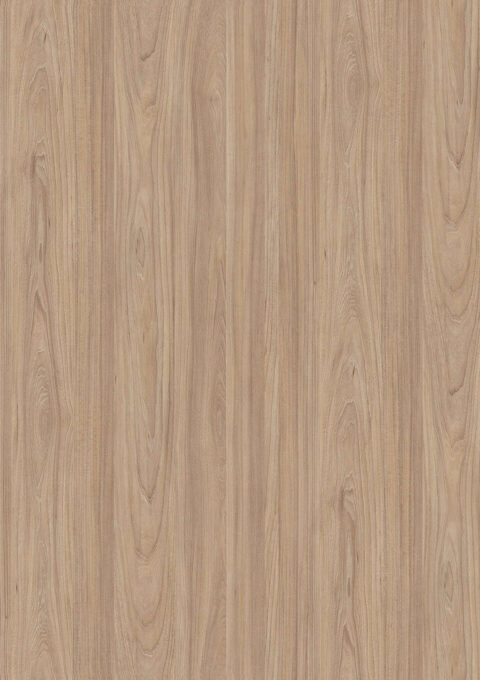 Natural Noble Elm
