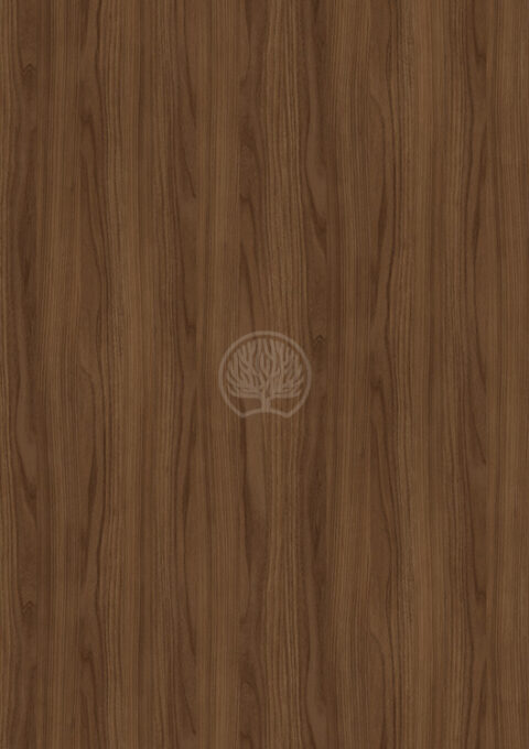 Bough Elm 7957 S