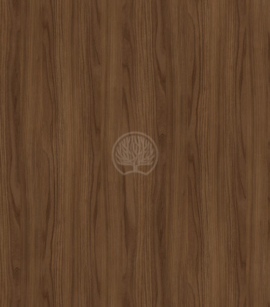 Bough Elm 7957 S