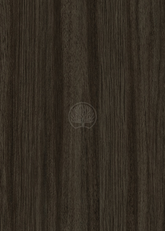 English Oak 7954 S 1