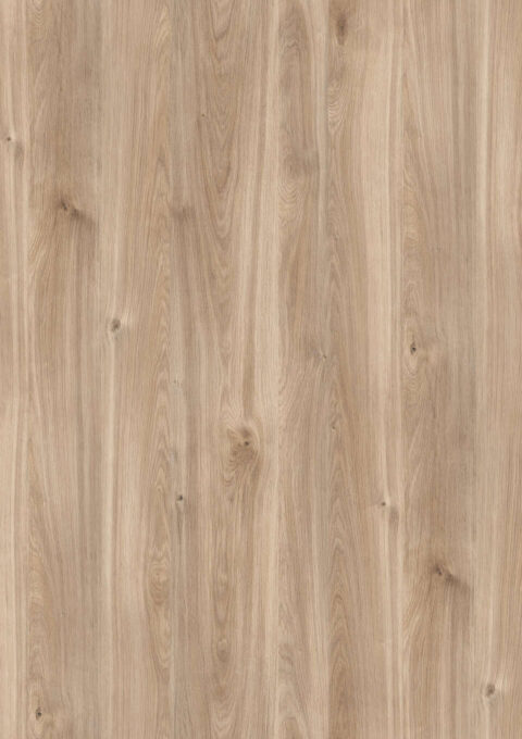 Honey Castello Oak